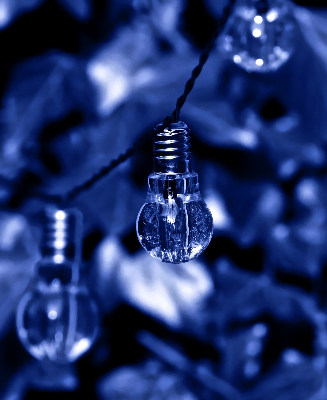 light bulb, electricity, light